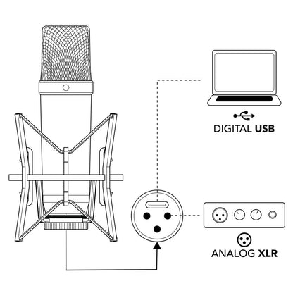 RØDE NT1 5th Generation connection diagram showing digital USB to a laptop and analogue XLR to an audio interface